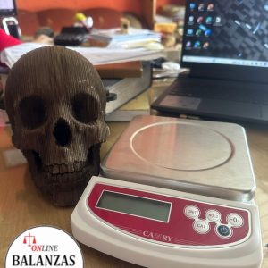 BALANZA CAMRY 3KG DIGITAL EI-01S
