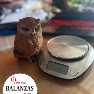 CAMRY 5KG 11LB  EK4352 GRAMERA