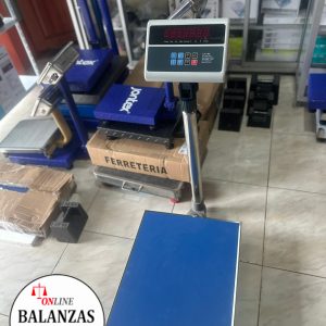 CAMRY ZE21 300KG 660LBS