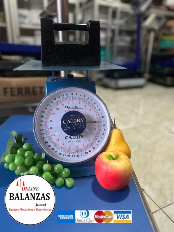 CAMRY 20KG PLATO PLANO - Imagen 2